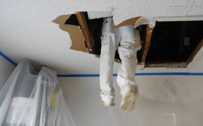 Seamless Solutions: Drywall Repair Experts at Wallis Repair